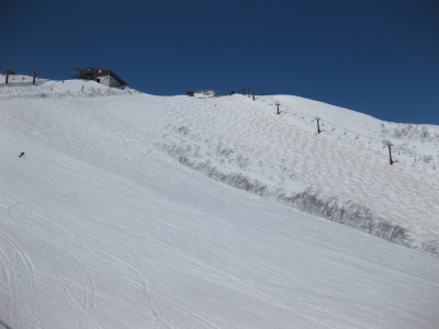 IMG_6800.jpg
