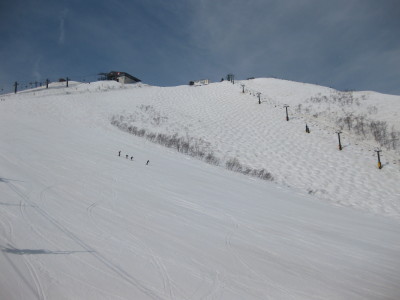IMG_6830.jpg