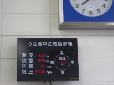 IMG_6847.jpg