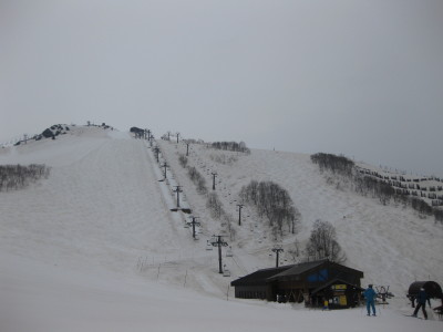 IMG_6887.jpg