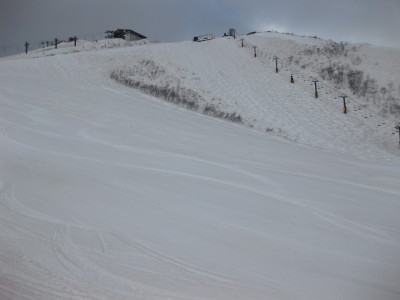 IMG_6938.jpg