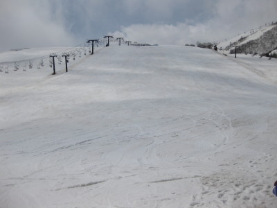 IMG_6986.jpg