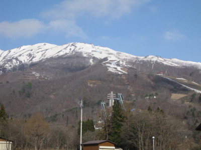 IMG_7071.jpg
