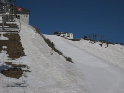 IMG_7079.jpg