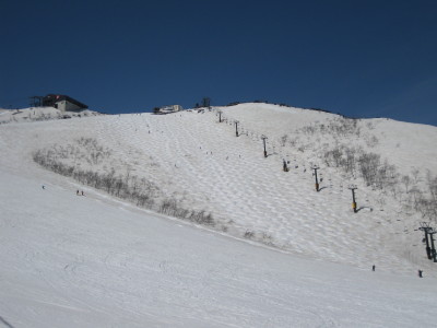 IMG_7099.jpg