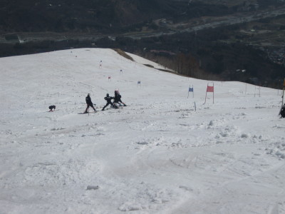 IMG_7104.jpg