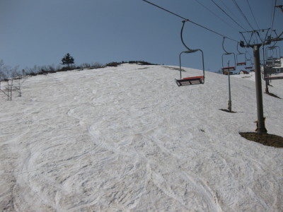 IMG_7136.jpg