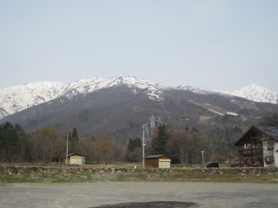 IMG_7147.jpg