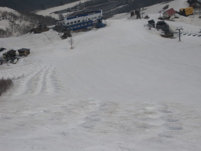 IMG_7161.jpg