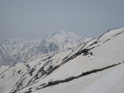 IMG_7169.jpg
