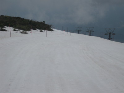 IMG_7222.jpg