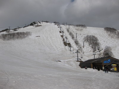 IMG_7245.jpg