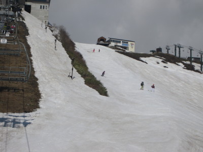 IMG_7254.jpg