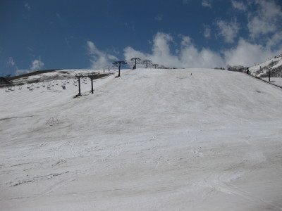 IMG_7257.jpg