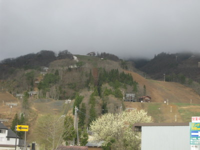 IMG_7264.jpg