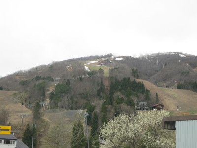 IMG_7277.jpg