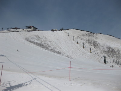 IMG_7290.jpg