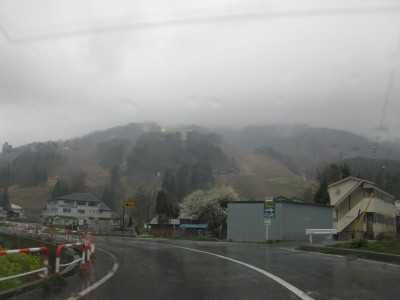 IMG_7301.jpg