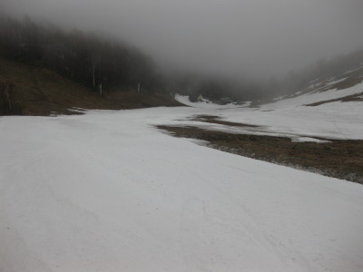 IMG_7323.jpg