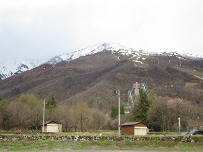 IMG_7340.jpg