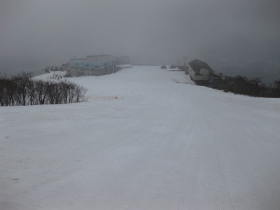 IMG_7353.jpg