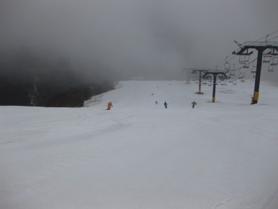 IMG_7355.jpg