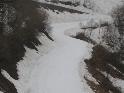 IMG_7359.jpg