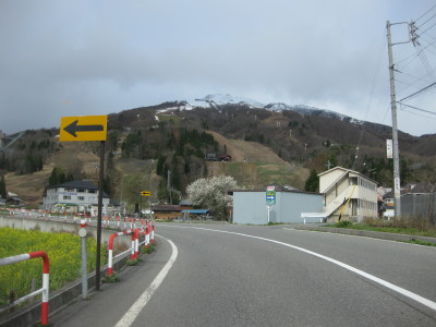 IMG_7368.jpg