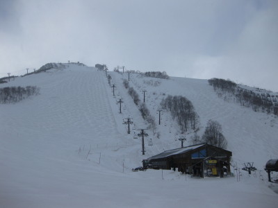 IMG_7376.jpg