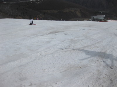 IMG_7425.jpg