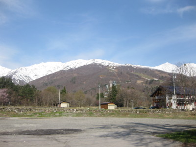 IMG_7433.jpg
