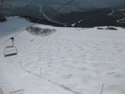 IMG_7438.jpg