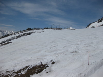 IMG_7439.jpg