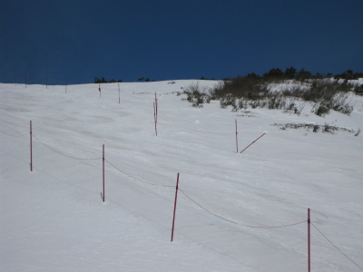 IMG_7452.jpg
