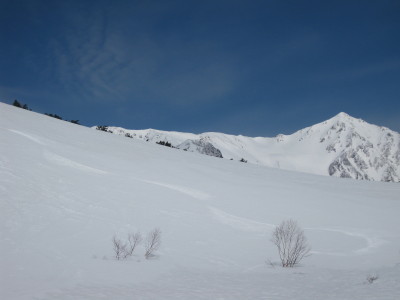 IMG_7459.jpg