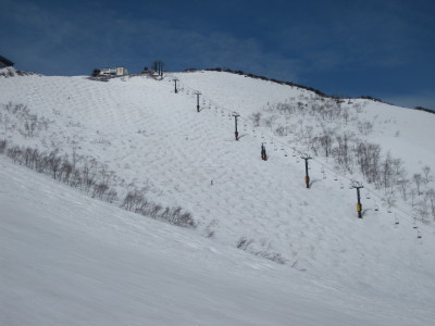 IMG_7464.jpg