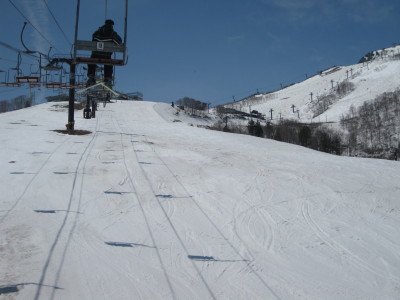 IMG_7473.jpg