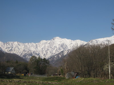 IMG_7480.jpg