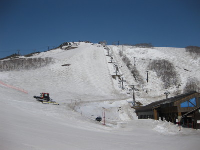 IMG_7487.jpg