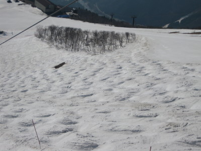 IMG_7490.jpg