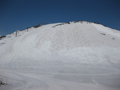 IMG_7496.jpg