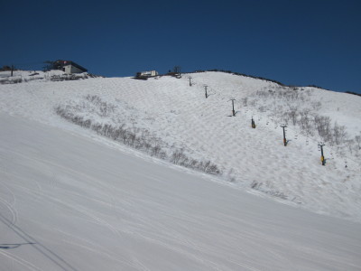 IMG_7509.jpg