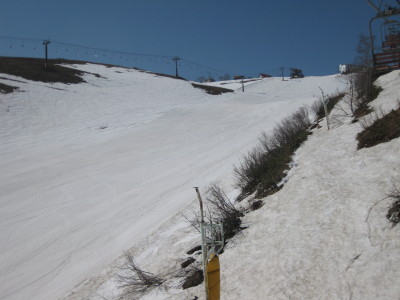 IMG_7511.jpg