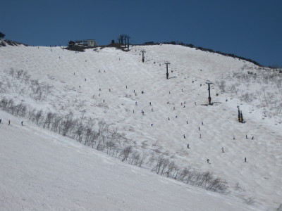 IMG_7513.jpg