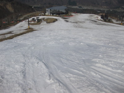 IMG_7517.jpg