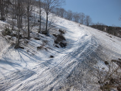 IMG_7520.jpg