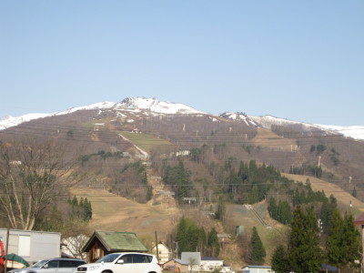 IMG_7528.jpg