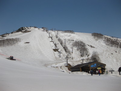 IMG_7533.jpg
