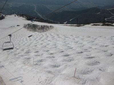 IMG_7539.jpg