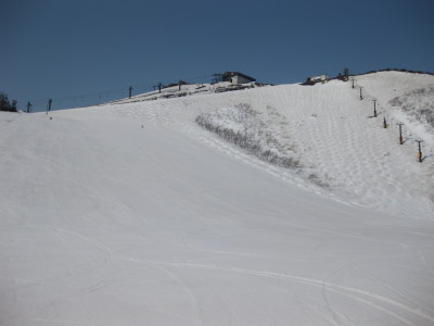 IMG_7558.jpg